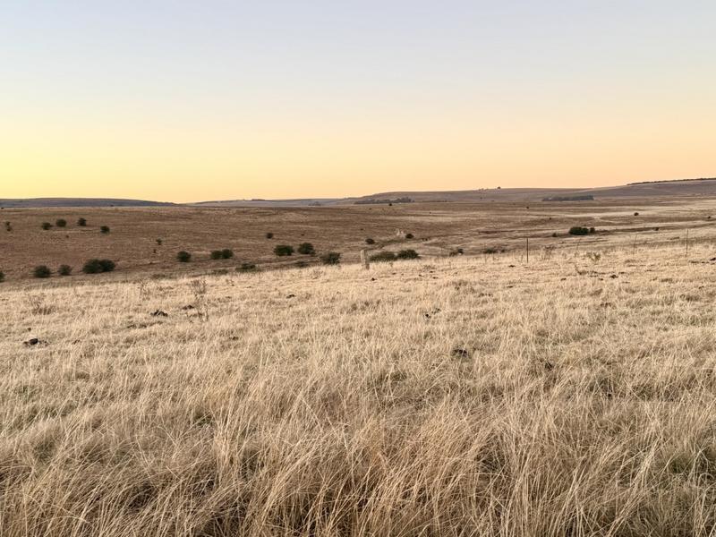 0 Bedroom Property for Sale in Warden Free State